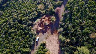 Adalar Kaymakamlığı duyurdu: Büyükada'daki bazı atlarda Ruam hastalığı tespit edildi (Ruam hastalığı nedir, nasıl bulaşır?)