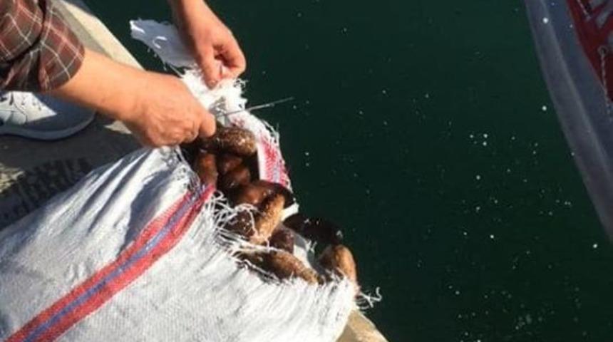 Didim&rsquo;de su &uuml;r&uuml;nleri ekiplerinden 54 bin TL&rsquo;lik ceza