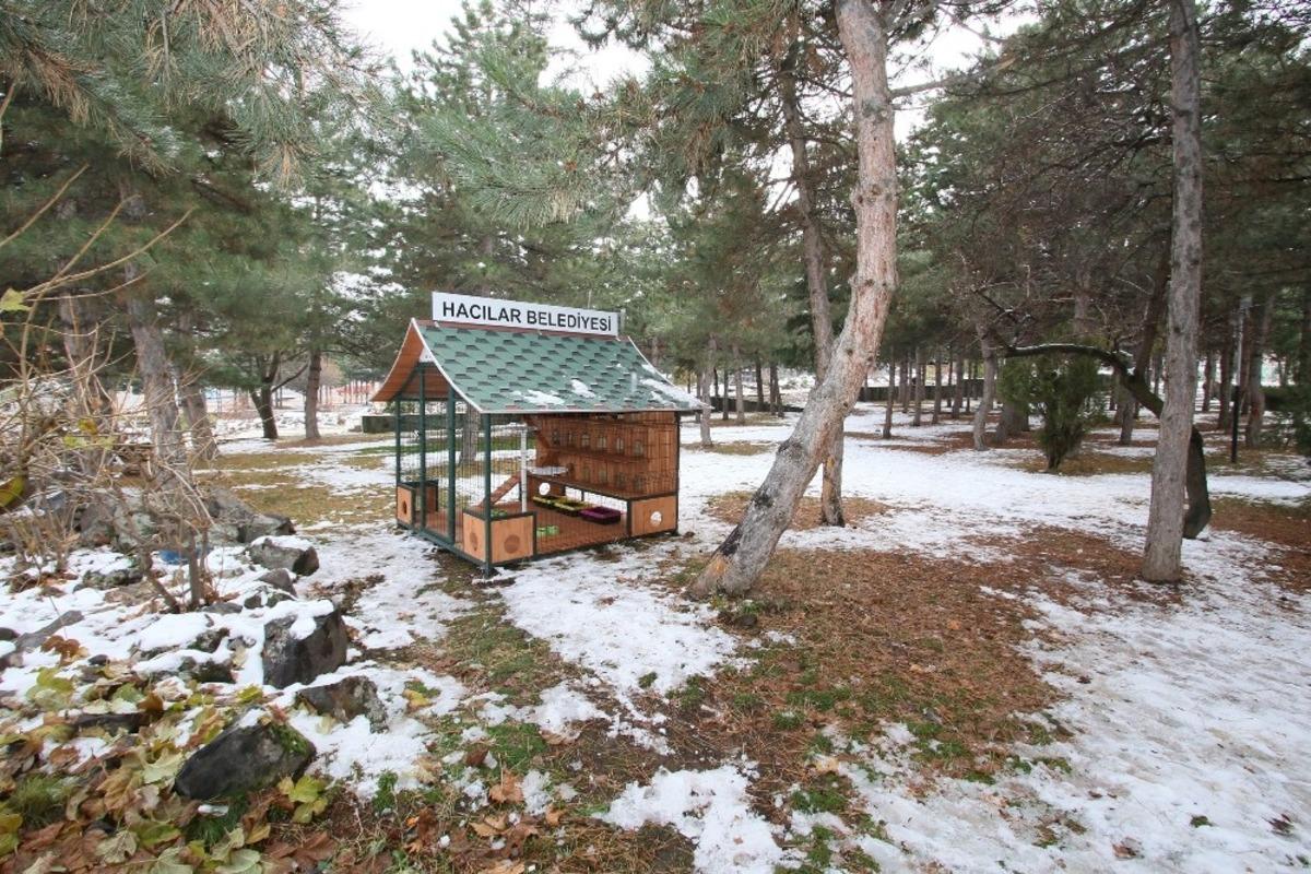 Sokak kedileri i&ccedil;in sığınma ve beslenme evi