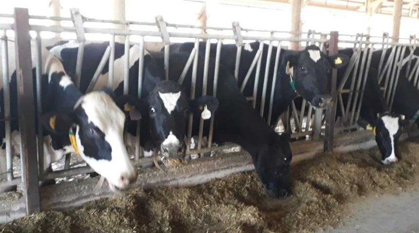 &Uuml;reticilere y&uuml;zde 40 hibe ile destek