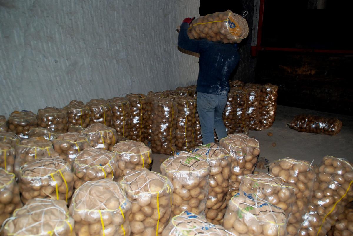 Bakanlıktan patates t&uuml;ketimine teşvik