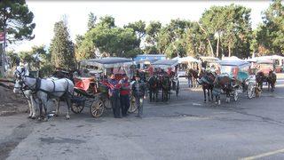 İstanbul Valiliği'nde 'fayton' toplantısı