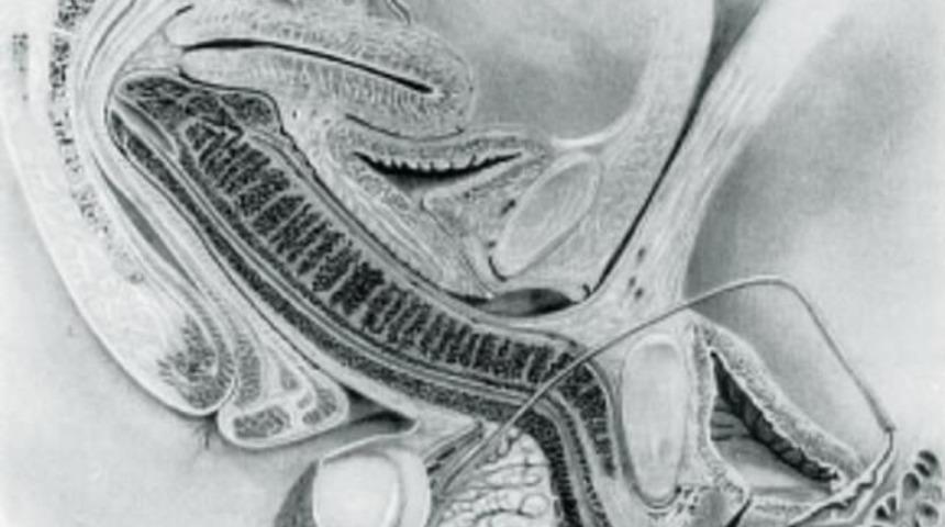 O derginin en çok indirilen makalesi belli oldu!