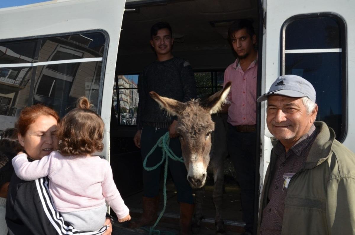 Yaylaya terk edilen eşek i&ccedil;in seferber oldular