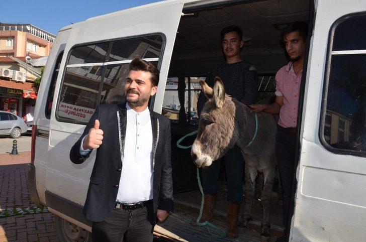 Yaylaya terk edilen eşek için seferber oldular G5