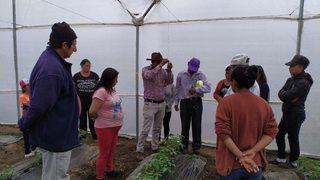 TİKA'dan Ekvador'daki tarımsal kalkınmaya sera desteği