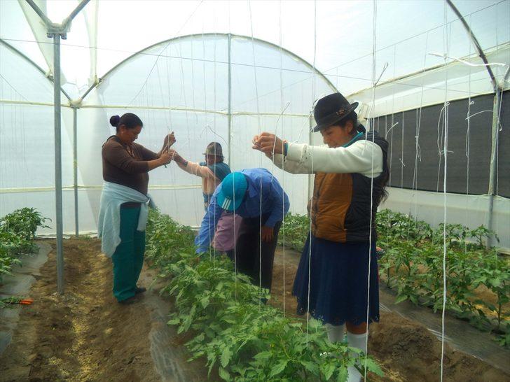 TİKA'dan Ekvador'daki tarımsal kalkınmaya sera desteği G2