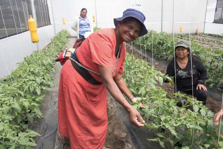 TİKA'dan Ekvador'daki tarımsal kalkınmaya sera desteği G4