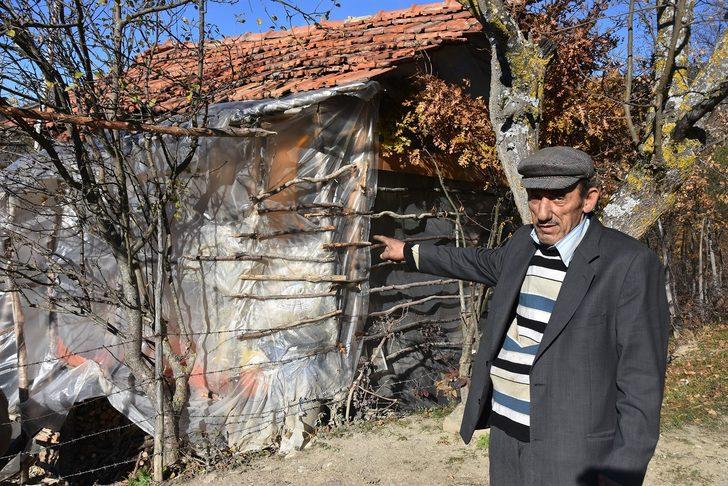 Eşeğiyle yaşıyor... Kış günü naylon barakada yaşam savaşı veriyor G4