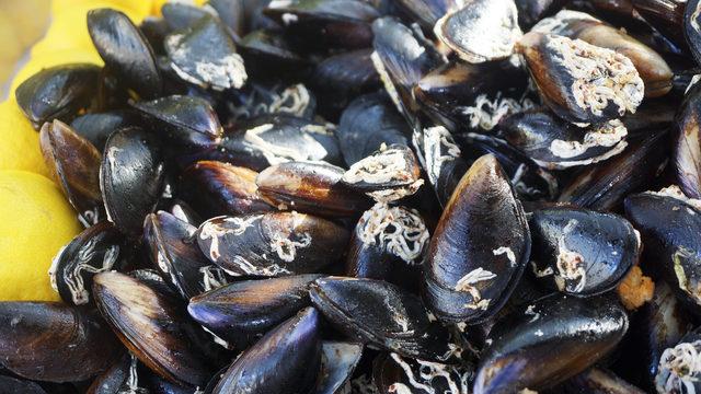 Taze midye nasıl olur? Midye sevenlere çok önemli uyarılar