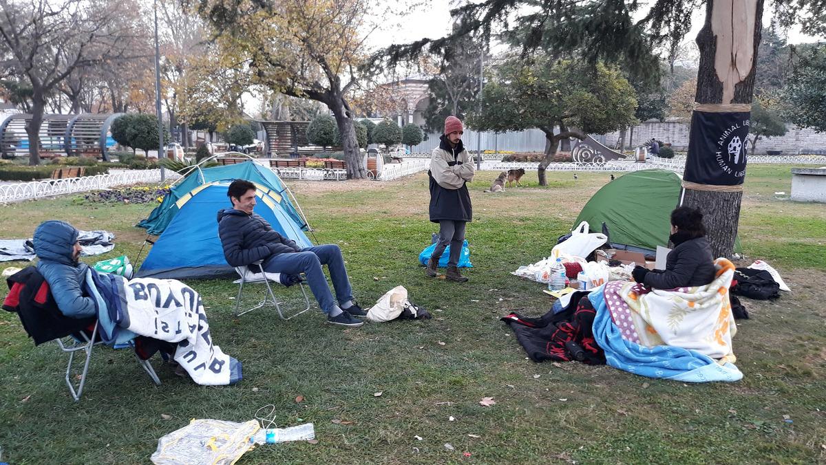 B&uuml;y&uuml;kada'da 81 ruamlı at itlaf edilmişti... İBB binası &ouml;n&uuml;nde fayton protestosu! &Ccedil;adırlarda sabahladılar