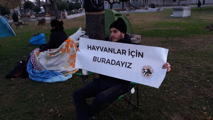 Büyükada'da 81 ruamlı at itlaf edilmişti... İBB binası önünde fayton protestosu! Çadırlarda sabahladılar G2