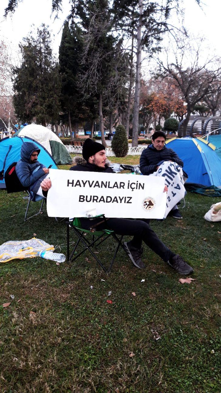Büyükada'da 81 ruamlı at itlaf edilmişti... İBB binası önünde fayton protestosu! Çadırlarda sabahladılar G3