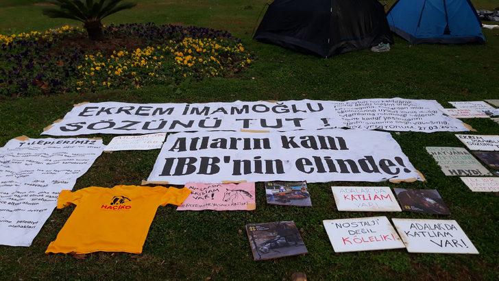 Büyükada'da 81 ruamlı at itlaf edilmişti... İBB binası önünde fayton protestosu! Çadırlarda sabahladılar G4