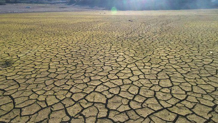 Türkiye'de kahreden tablo! Yüzde 90'ı kurudu G3