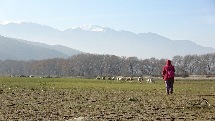 Türkiye'de kahreden tablo! Yüzde 90'ı kurudu G4