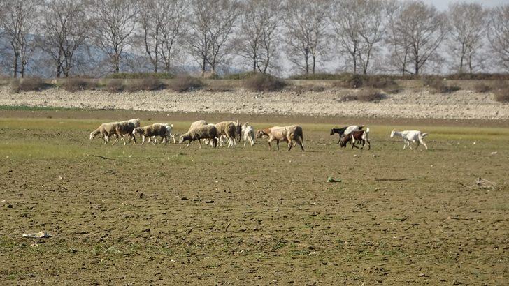 Türkiye'de kahreden tablo! Yüzde 90'ı kurudu G5