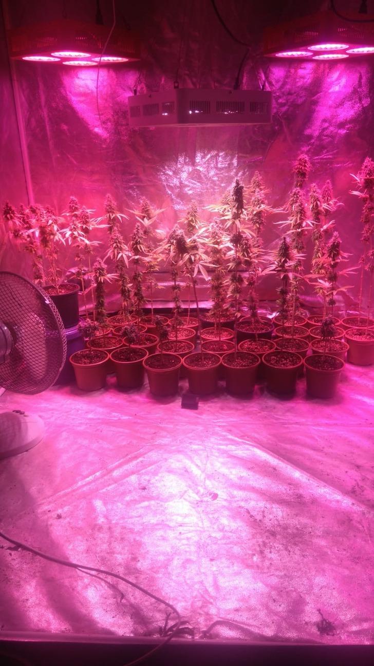 Evi laboratuvara çevirmişler! Polisler bile şaşırdı G4