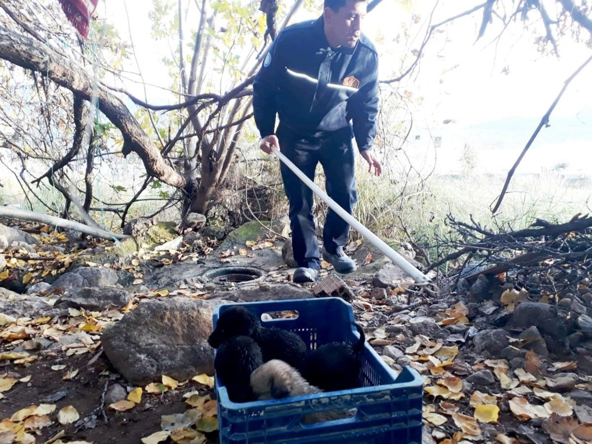 &Ouml;l&uuml;m&uuml; bekleyen yavruları itfaiye kurtardı