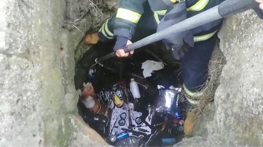 Kuyudan k&ouml;pek kurtarma operasyonu