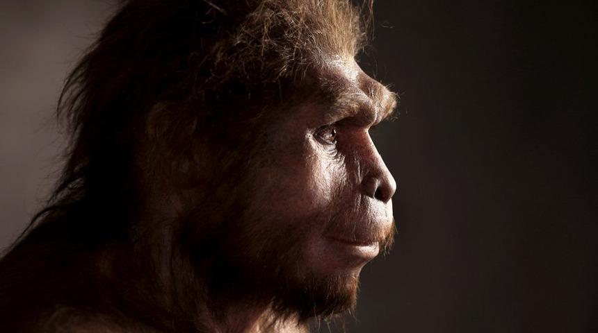 'Homo Erectus, sanıldığından &ccedil;ok daha uzun s&uuml;re yaşadı'