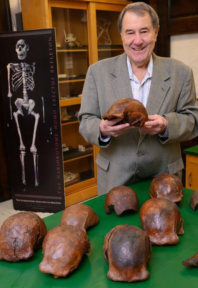 Prof Russell Ciochon Homo Erectus Ngandong'da bulunan kafataslarının kopyalarıyla.