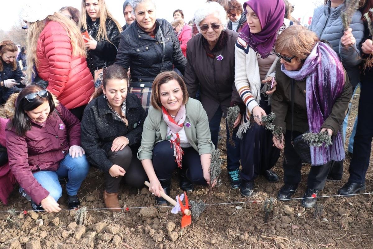 İzmitli kadınlar &uuml;retime lavanta bah&ccedil;eleriyle ortak oluyor