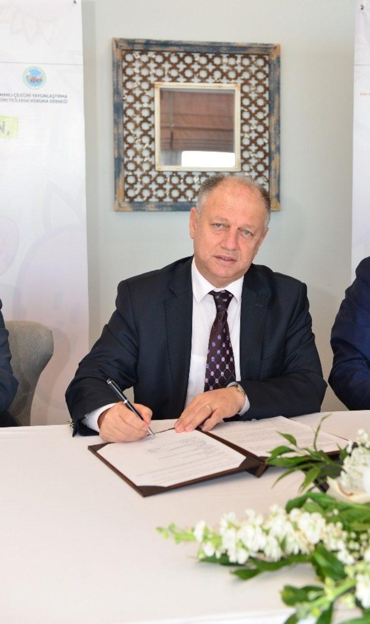 Osmanlı Çileği’ne Ereğli sahip çıktı G4