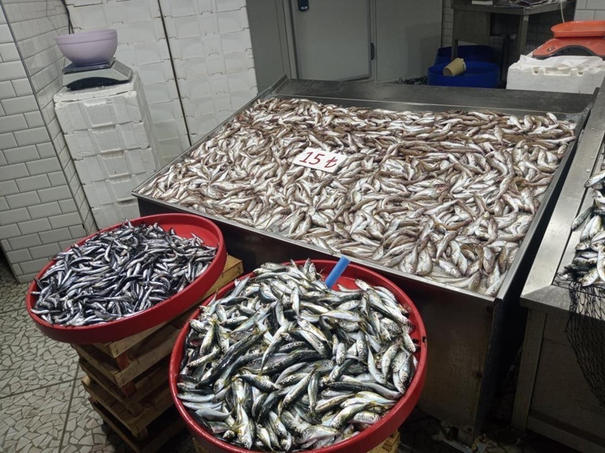 Zonguldaklı balık&ccedil;ılar ağlarını Doğu Karadeniz&rsquo;de atmaya başladı