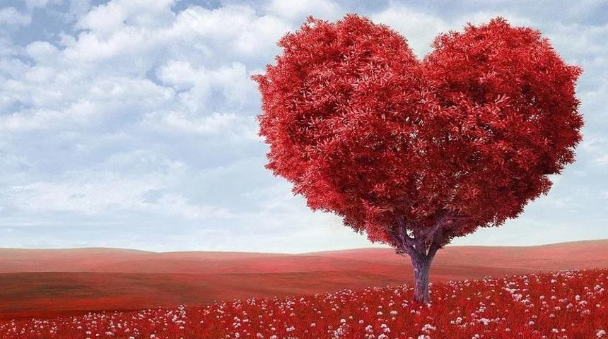 Kalp nakli ile hayata tutundular, organ bekleyen &ccedil;ocuklara umut oldular