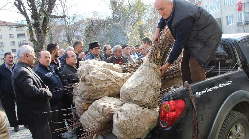 Devrek&rsquo;te &ccedil;ift&ccedil;ilere y&ouml;nelik kestane fidanı dağıtımı ger&ccedil;ekleştirildi