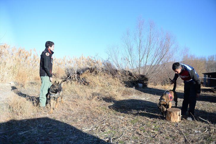 Iğdır'da foseptik çukurunda ceset bulunmasıyla ilgili 2 zanlı tutuklandı G5