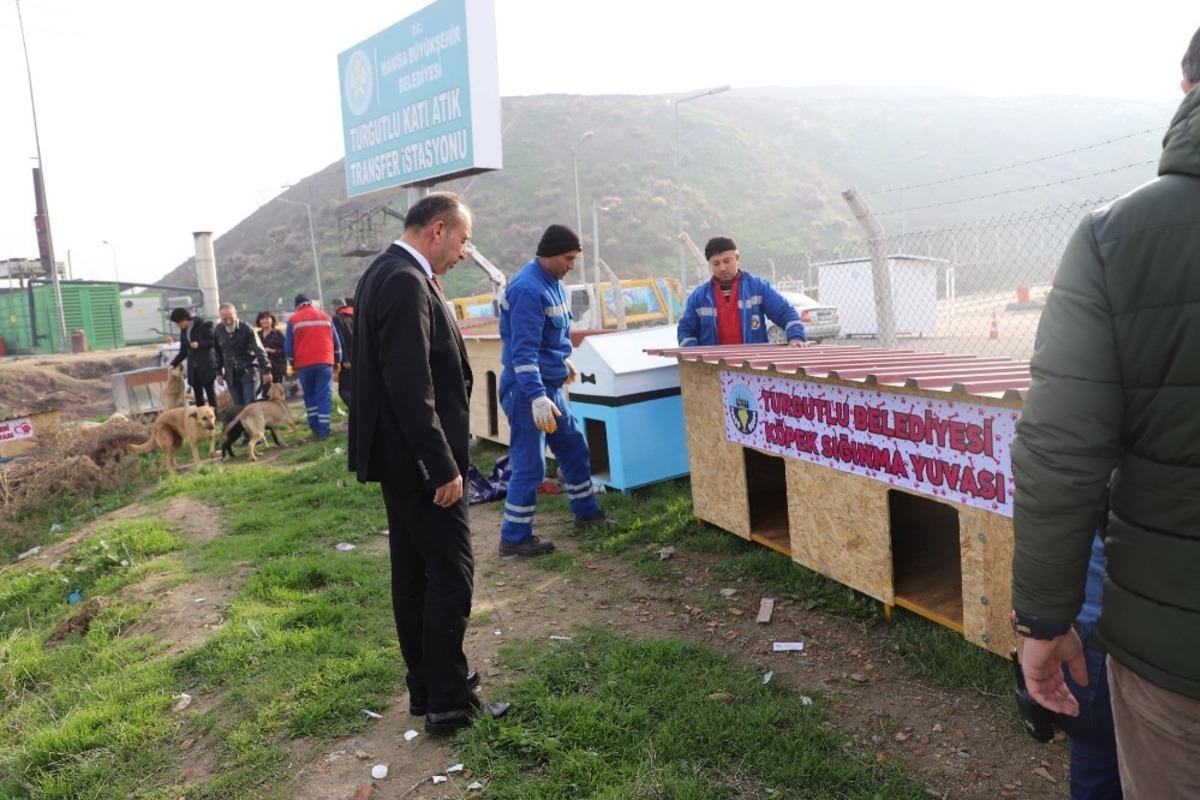 Turgutlu Belediyesinden sahipsiz canlılar i&ccedil;in sığınma yuvası