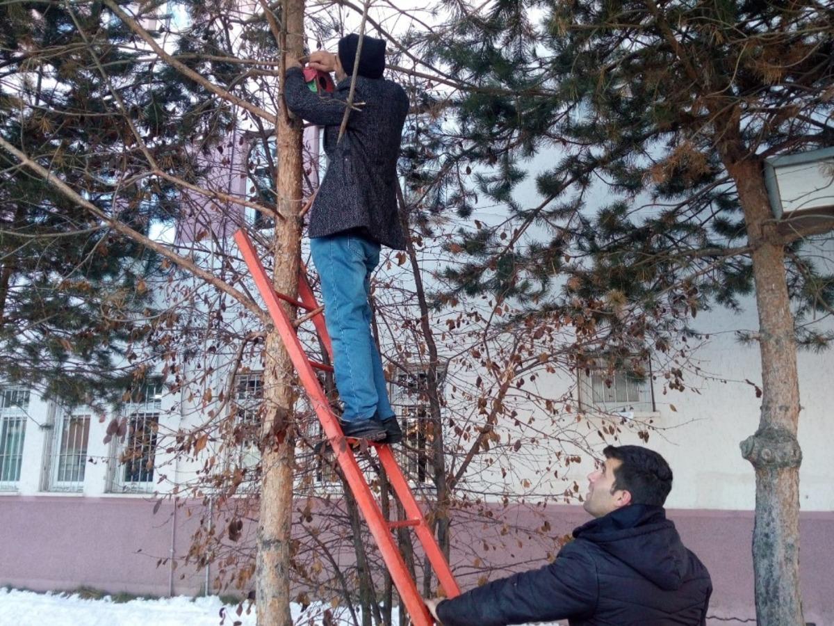Sokak hayvanları i&ccedil;in seferber oldular