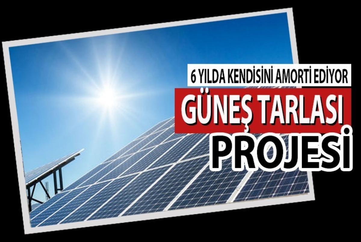 Bafra&rsquo;ya G&uuml;neş Tarlası