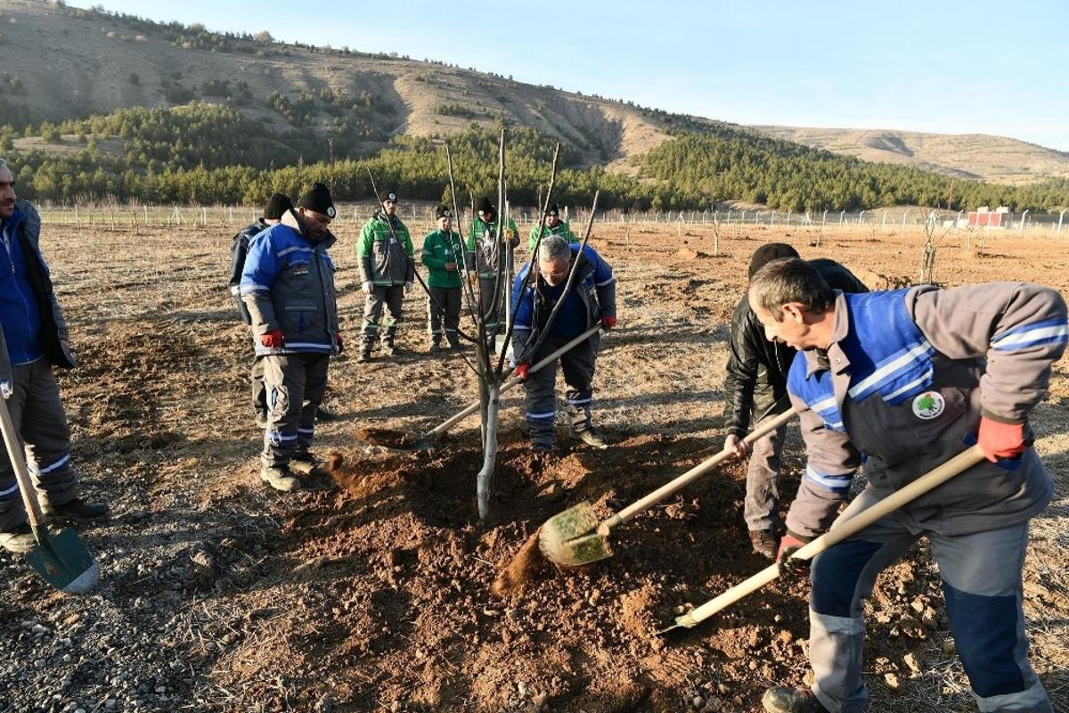 Ekok&ouml;y&rsquo;de fidanlar toprakla buluştu
