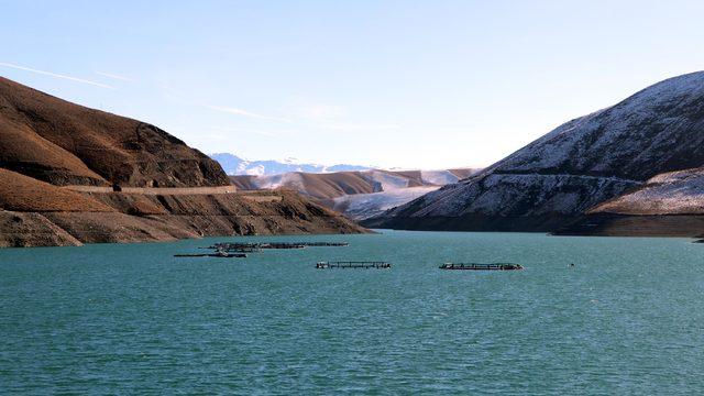 Van Gölü Havzası'nda yeni tehlike; tatlı su ıstakozu