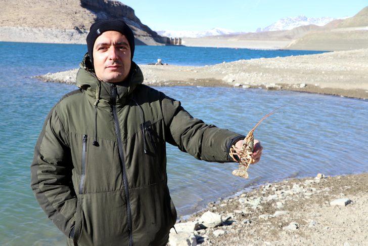 Van Gölü Havzası'nda yeni tehlike; tatlı su ıstakozu G3