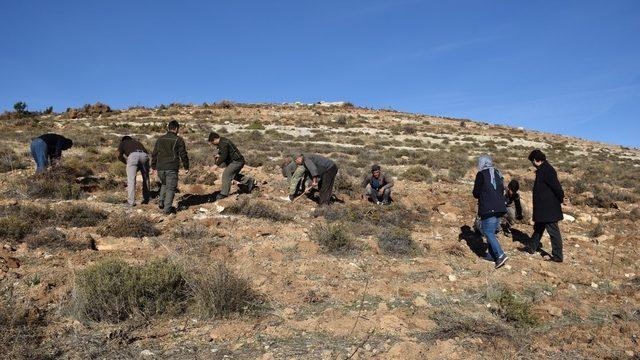 15 bin kekik toprakla buluştu