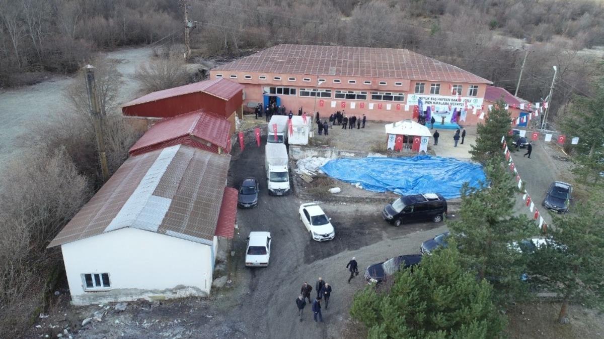 Ordu&rsquo;da Hayvan Oteli