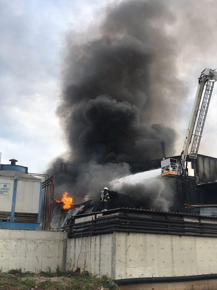 Kocaeli'de endüstriyel geri dönüşüm fabrikasında yangın G4