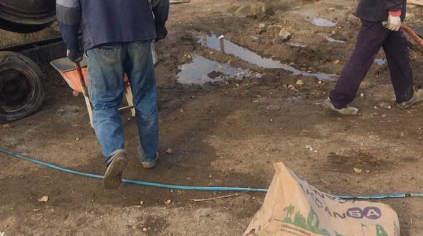 &Ccedil;anakkaleli k&ouml;yl&uuml;ler, omuz omuza verip meyve hali yapıyor