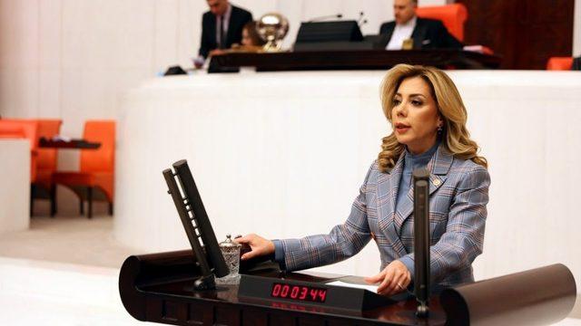 AK Partili Gökçan, “Milas’a doğalgaz verilmesi için çalışmalarımız devam ediyor”