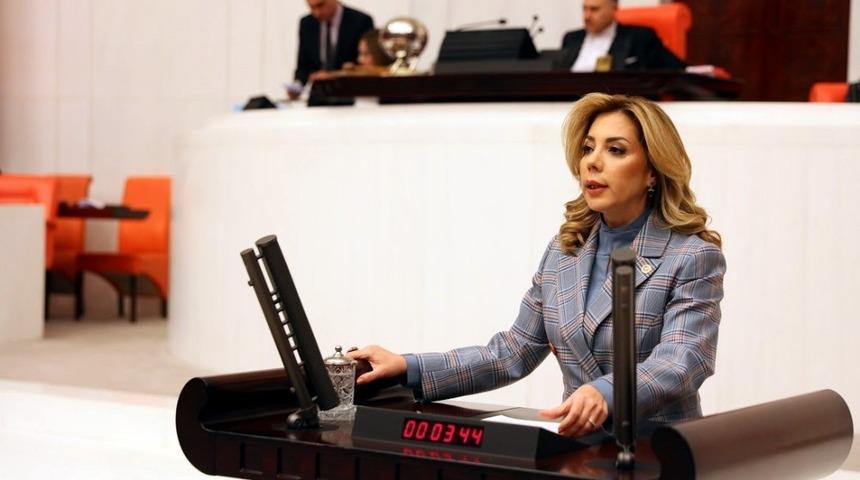 AK Partili G&ouml;k&ccedil;an, &ldquo;Milas&rsquo;a doğalgaz verilmesi i&ccedil;in &ccedil;alışmalarımız devam ediyor&rdquo;