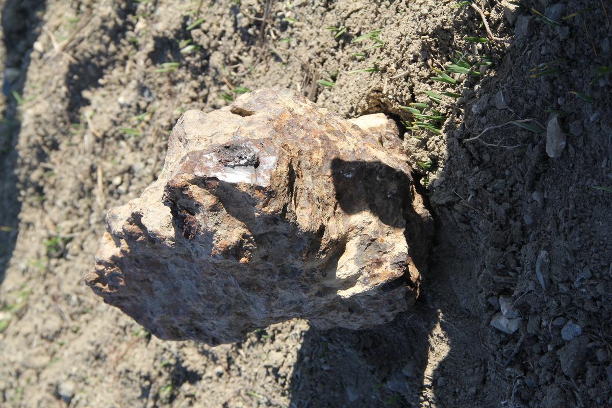 T&uuml;rkiye taş dedi ger&ccedil;ek ABD'de ortaya &ccedil;ıktı! 'Nohut ektik meteor bi&ccedil;tik'