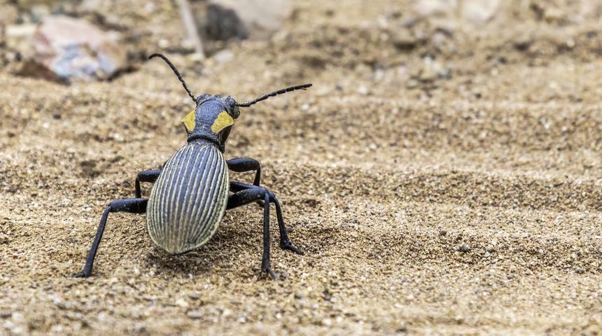 Eğer hepsi t&uuml;mden yok olursa felaketler bizi bekliyor!