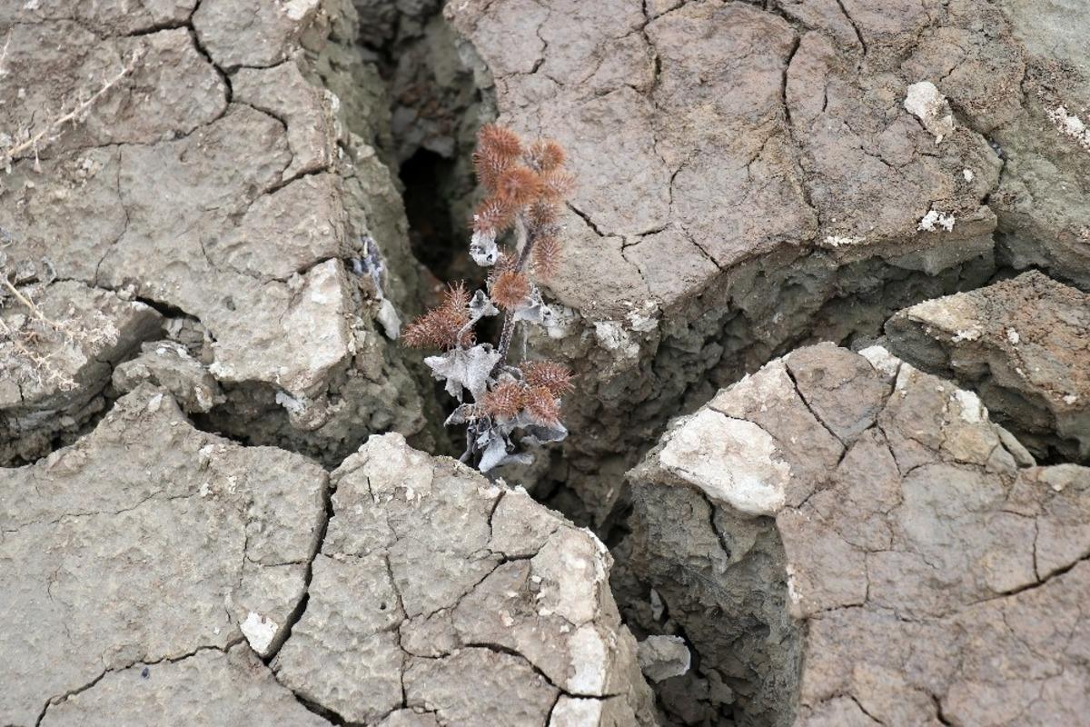 Torul baraj g&ouml;l&uuml;nde korkutan g&ouml;r&uuml;nt&uuml;