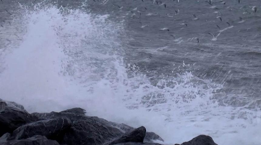 İstanbul'da deniz ulaşımına lodos engeli! Çok sayıda sefer iptal edildi