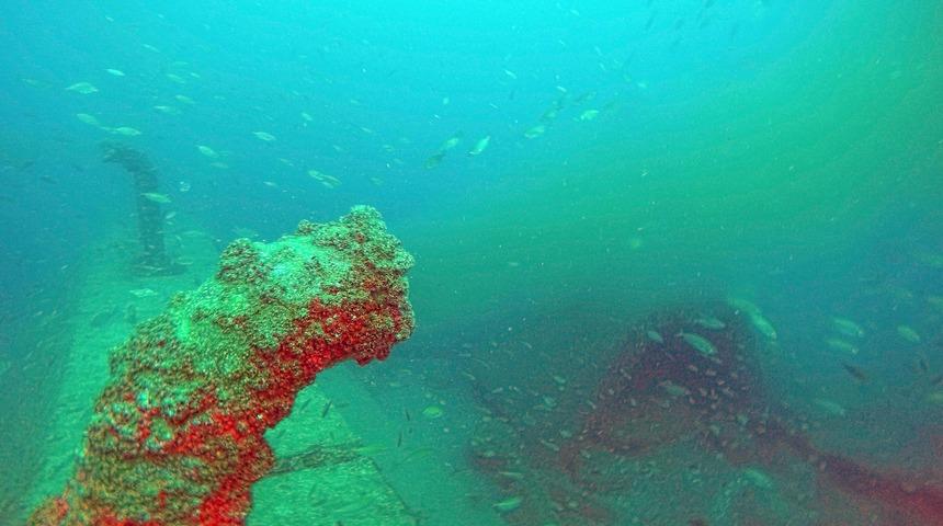 Marmaris'te denizin altında b&uuml;y&uuml;k tehlike! B&ouml;yle g&ouml;r&uuml;nt&uuml;lendi