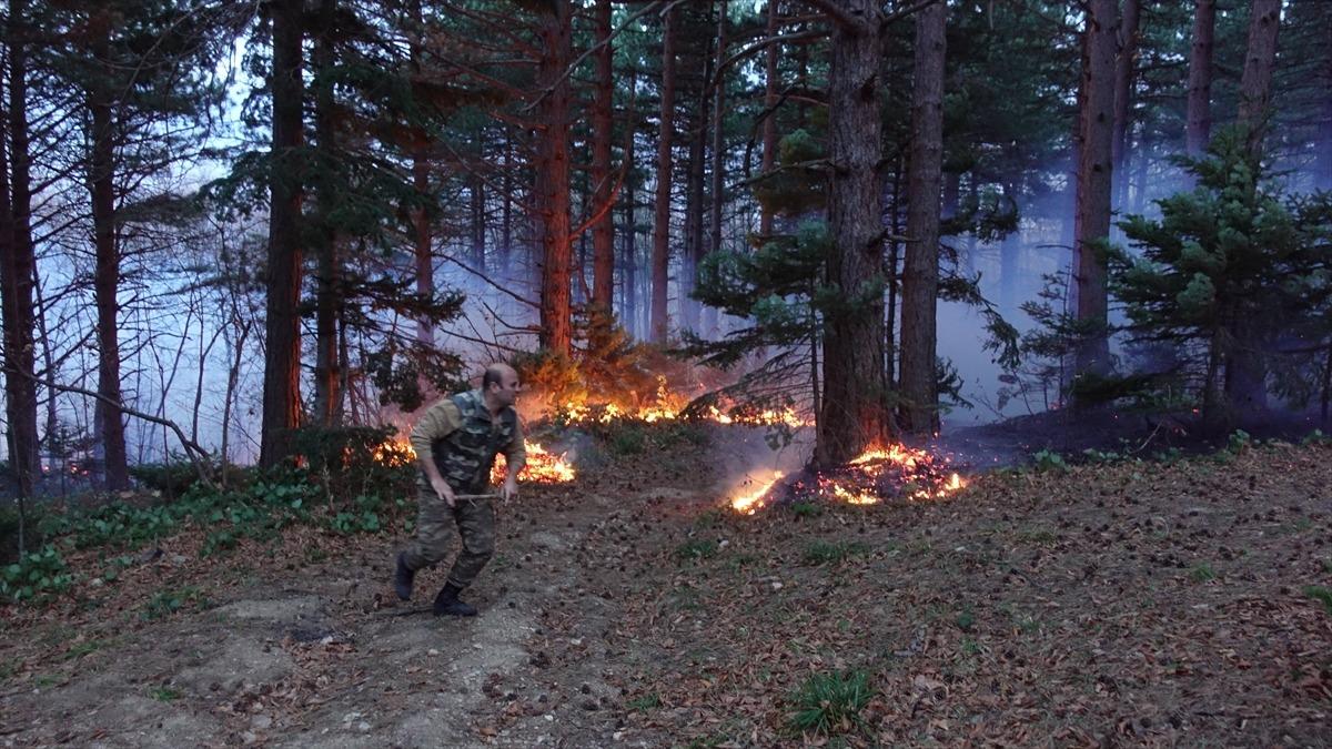 G&Uuml;NCELLEME 2 - Uludağ'da &ccedil;ıkan orman yangını kontrol altına alındı